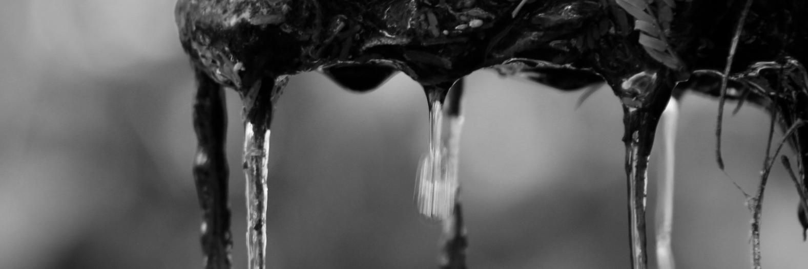 mnbecenti's profile banner image