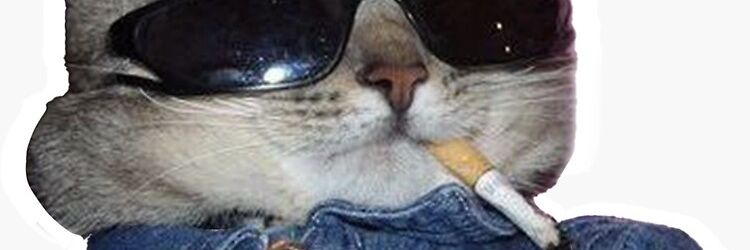queperezadaiss's profile banner image
