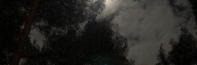 callofbitume35's profile banner image