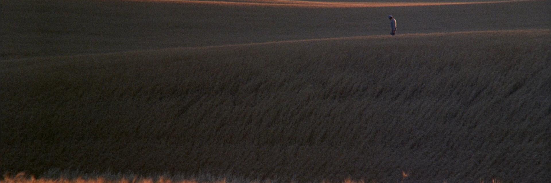 DavidJHibbert's profile banner image
