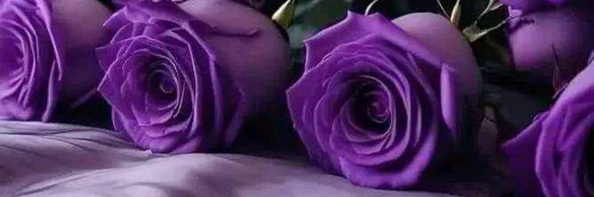 همـٰسـٰٰٰٖٖٖۧـ๋͜ــات حــ۫͜ـࢪفــ͡ـ banner