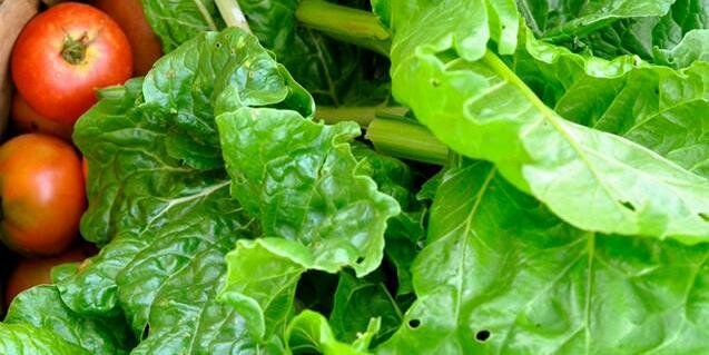 Beardsley Farm banner