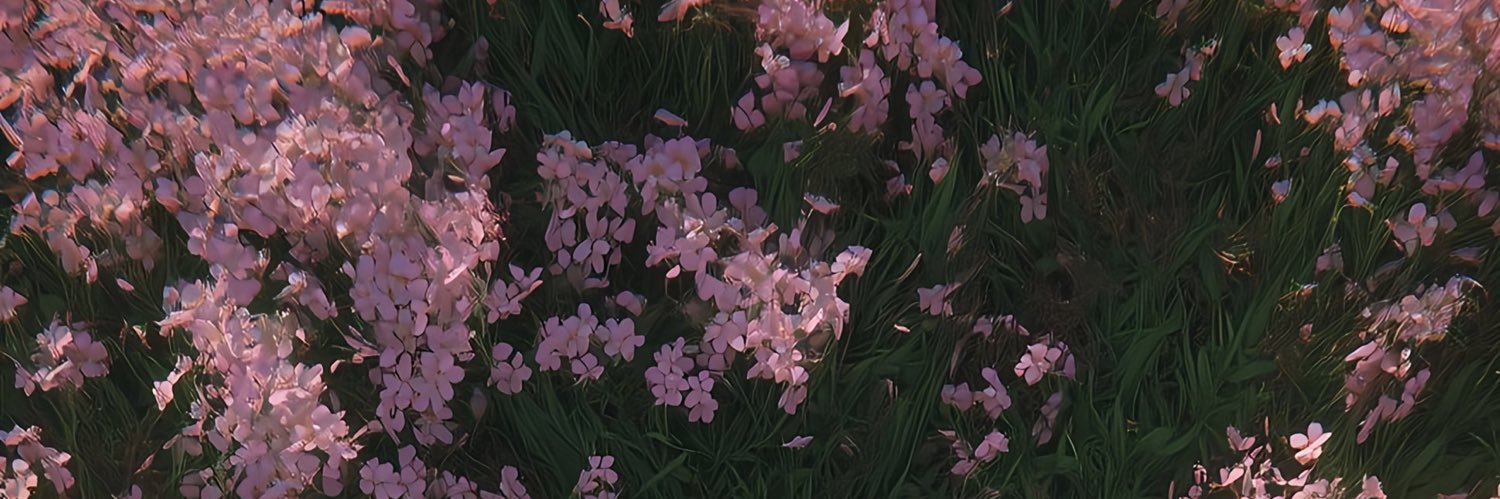 0xhvrri's profile banner image