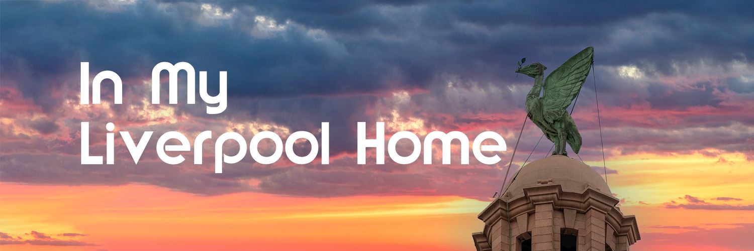 Jan Rye Hansen ⚽ banner