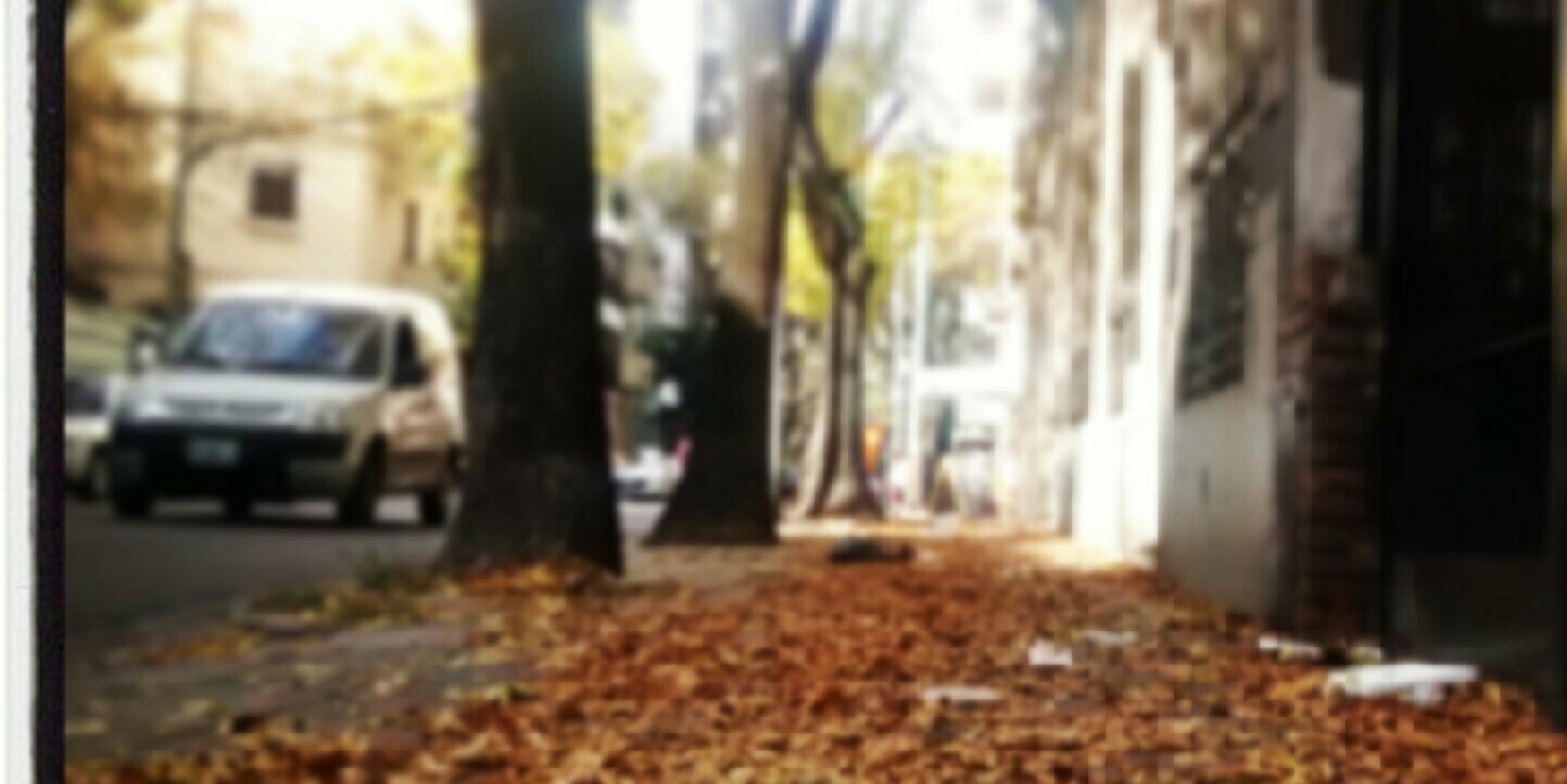 abella_fer's profile banner image