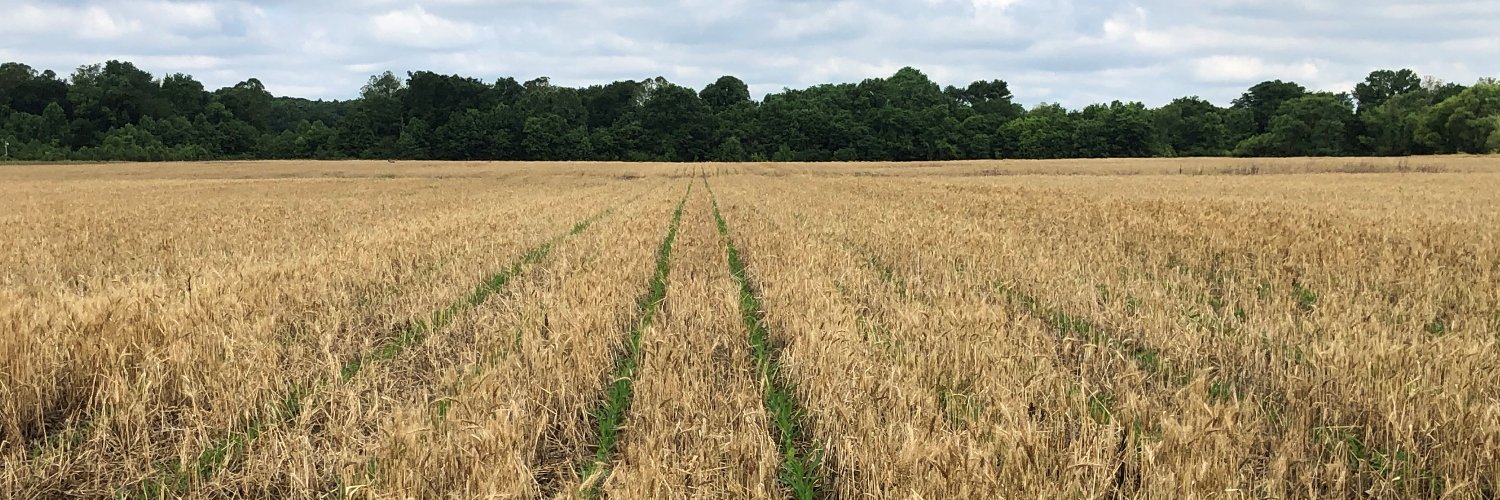 AgricenterRD's profile banner image