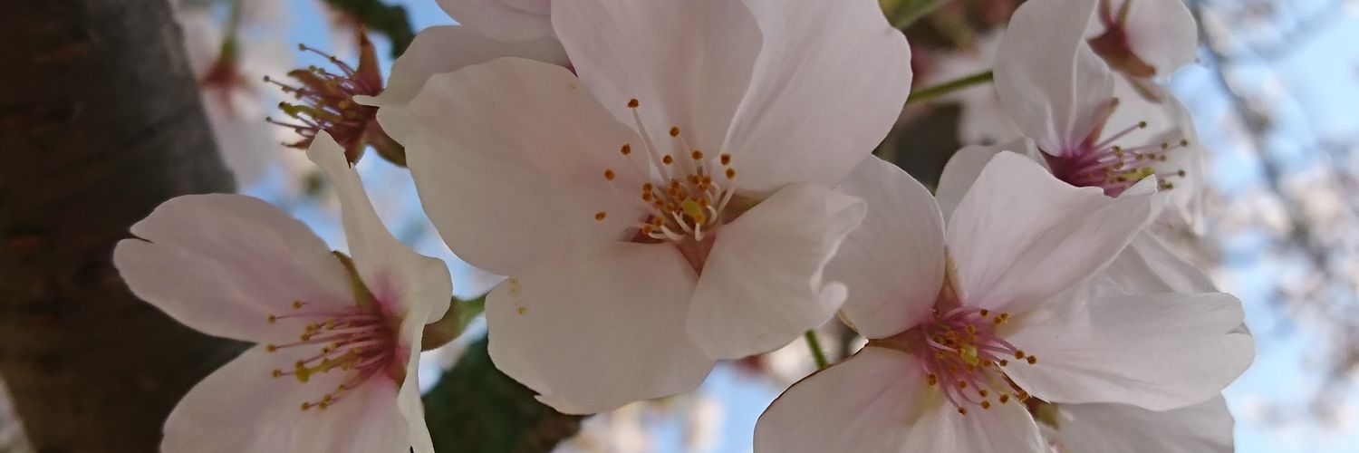 rio_ai_'s profile banner image