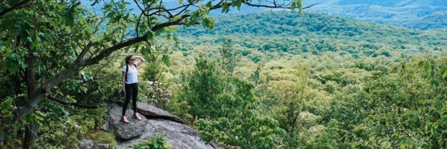 EBbravery's profile banner image