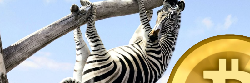 Bitcoin Zebra banner