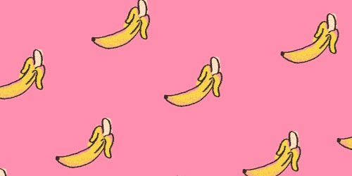 bird_fernanda's profile banner image