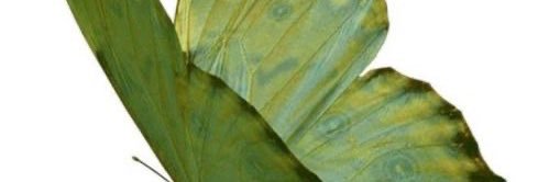 BUTlSOL's profile banner image