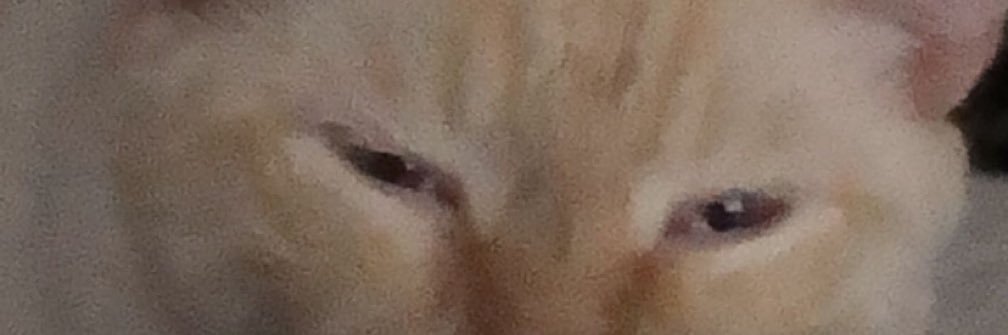 stupid_ashes's profile banner image