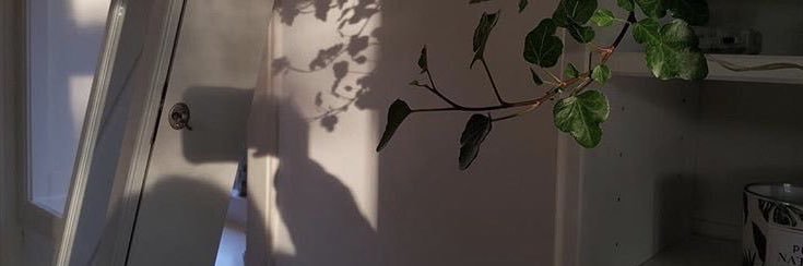 lllll6_'s profile banner image