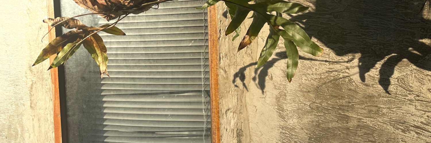 BB_MIND_YS's profile banner image
