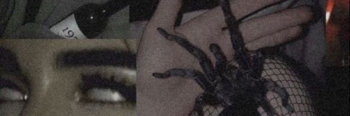 softscares's profile banner image