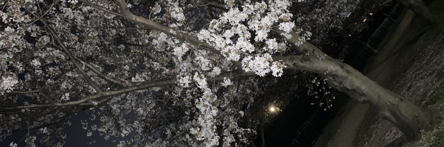 himitsutetsu's profile banner image