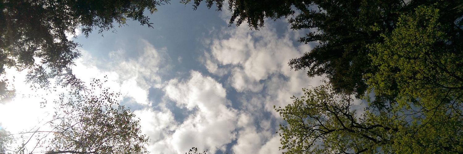 roynijhuis's profile banner image