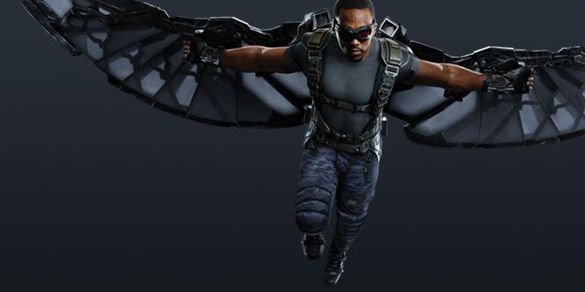 Falcon banner