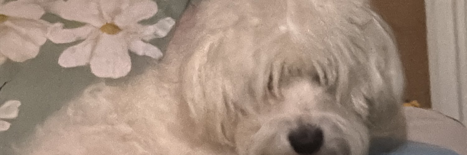 tuna_361's profile banner image