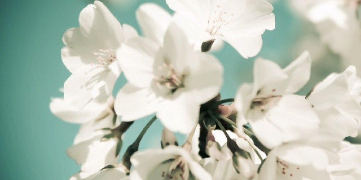 alejandrax04's profile banner image