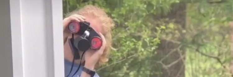 summerchamb14's profile banner image