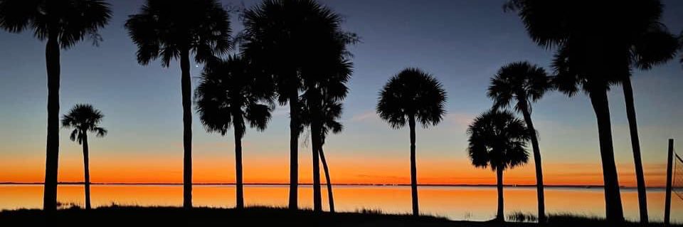 Port St. Joe Star banner