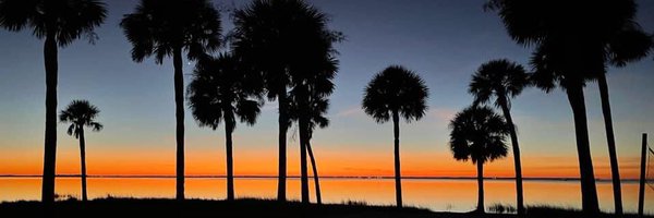 PSJ_Star Profile Banner