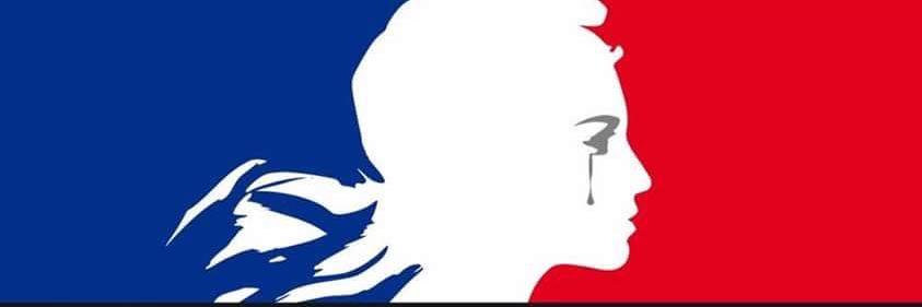 Brigitte NAVAIL 🇺🇦 🇪🇺 🍊🐘 banner