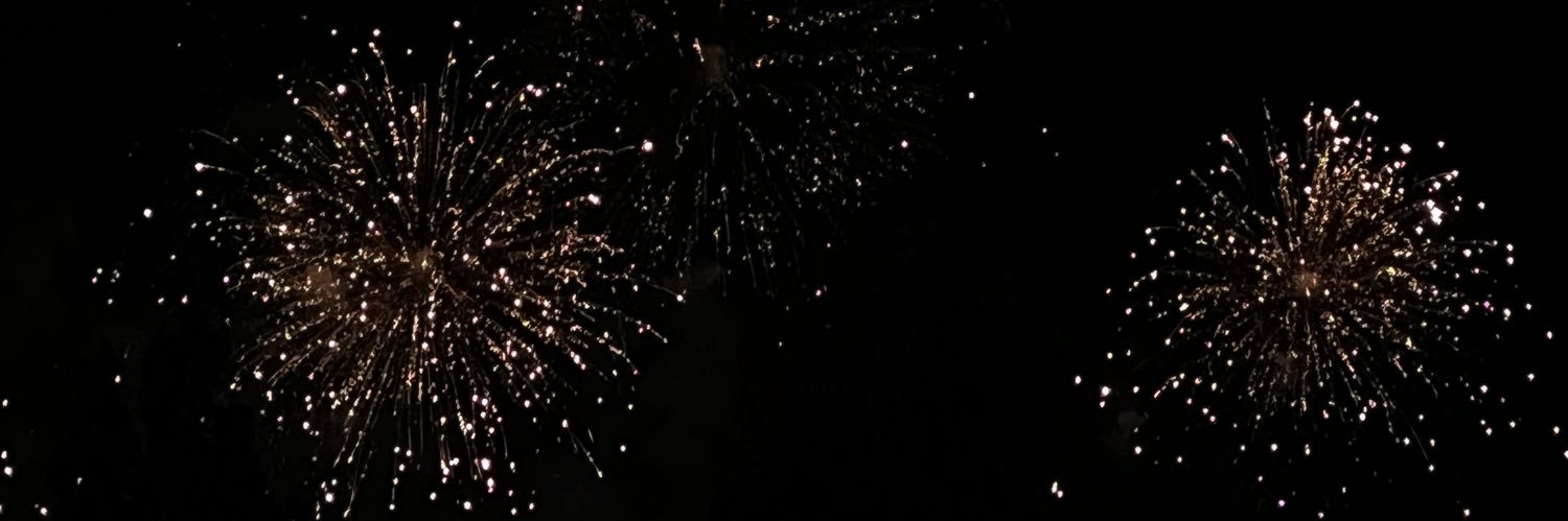 visagedchienne's profile banner image
