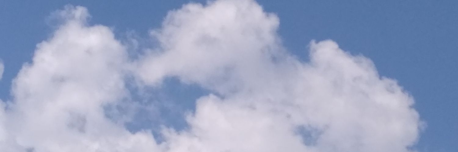 senenisdee's profile banner image