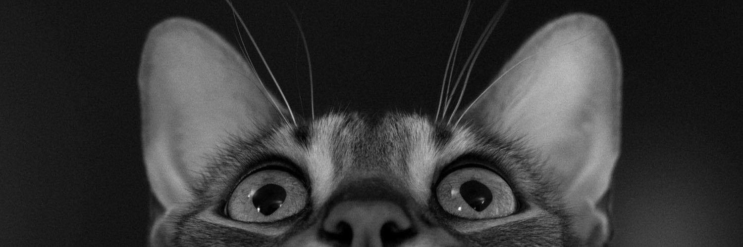 Seamb74's profile banner image