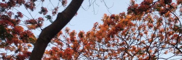 Shaktisingh_Vns Profile Banner