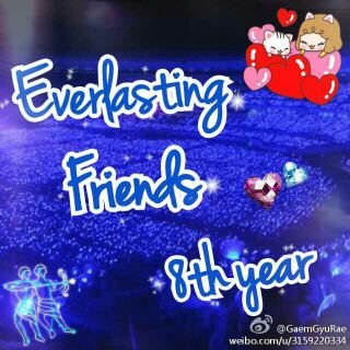shfly3153's profile banner image