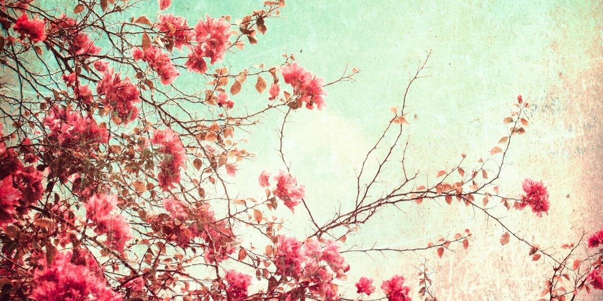AndreViivas's profile banner image