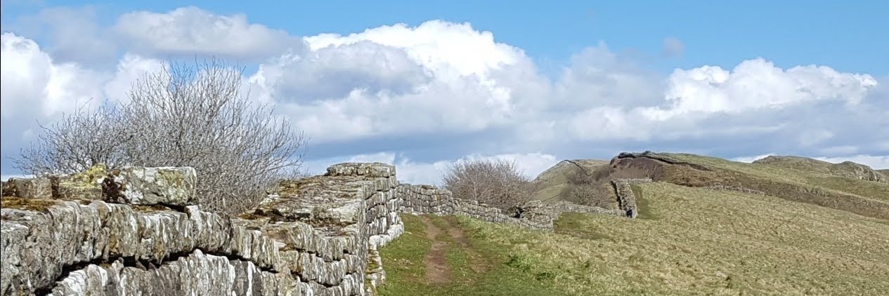 Elizabeth Bennett banner