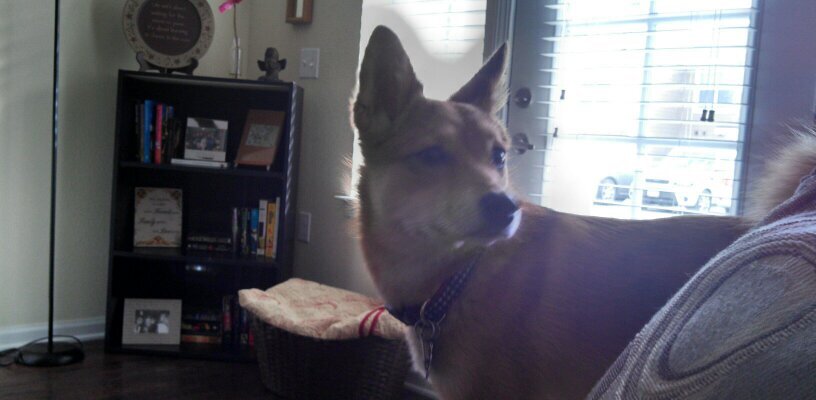 Tay_larson_'s profile banner image