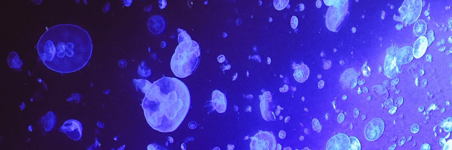 aktkysn's profile banner image