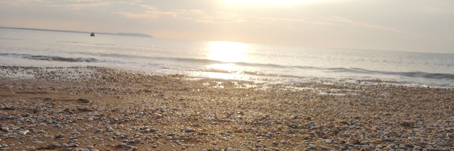 MHalive's profile banner image