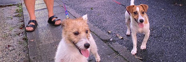 washandclean Profile Banner