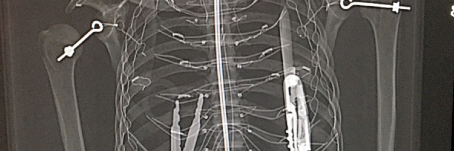 xray_hans's profile banner image