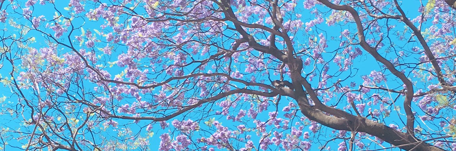 YoCortes_'s profile banner image