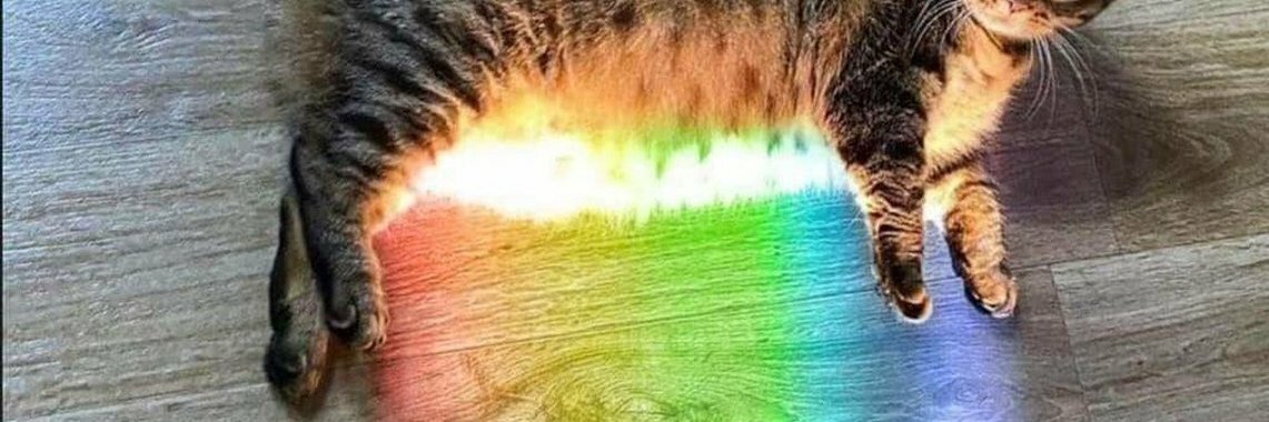 BGruna's profile banner image