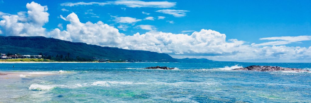 Fiona Purcell banner