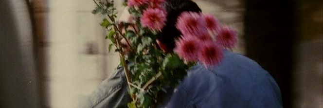 Stephlbs_'s profile banner image