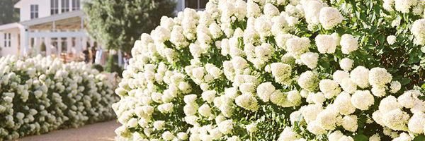 hamza6013's profile banner image