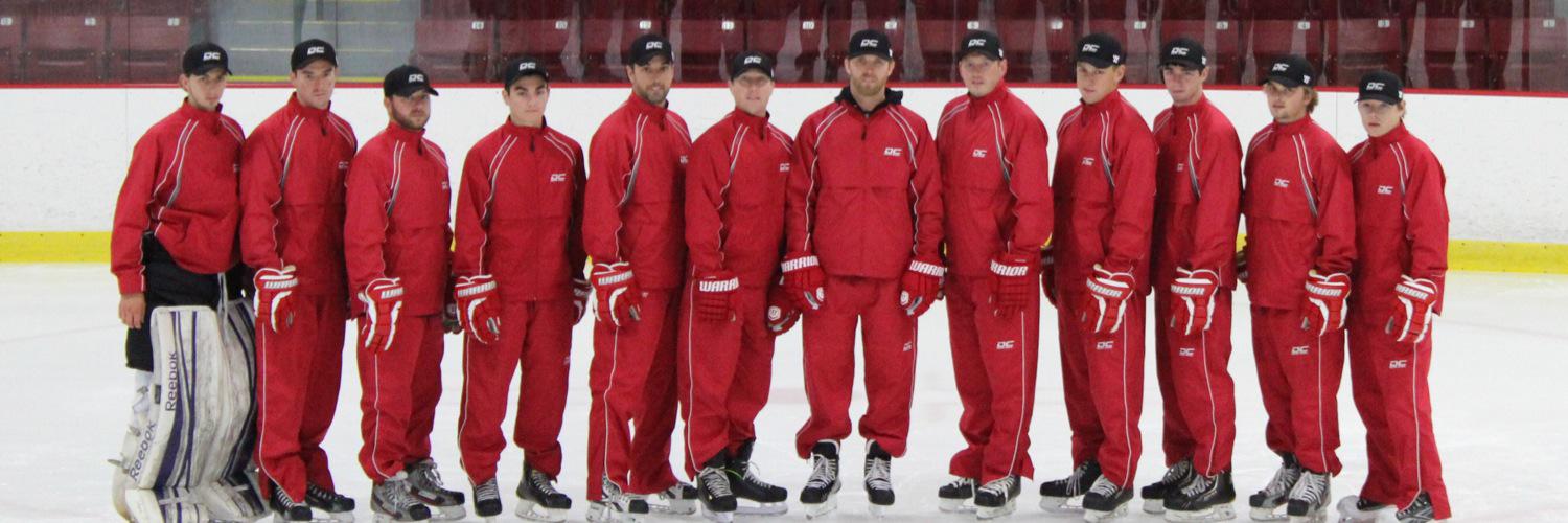 dchockeyschool's profile banner image