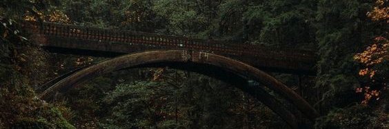 Teodelezeta's profile banner image