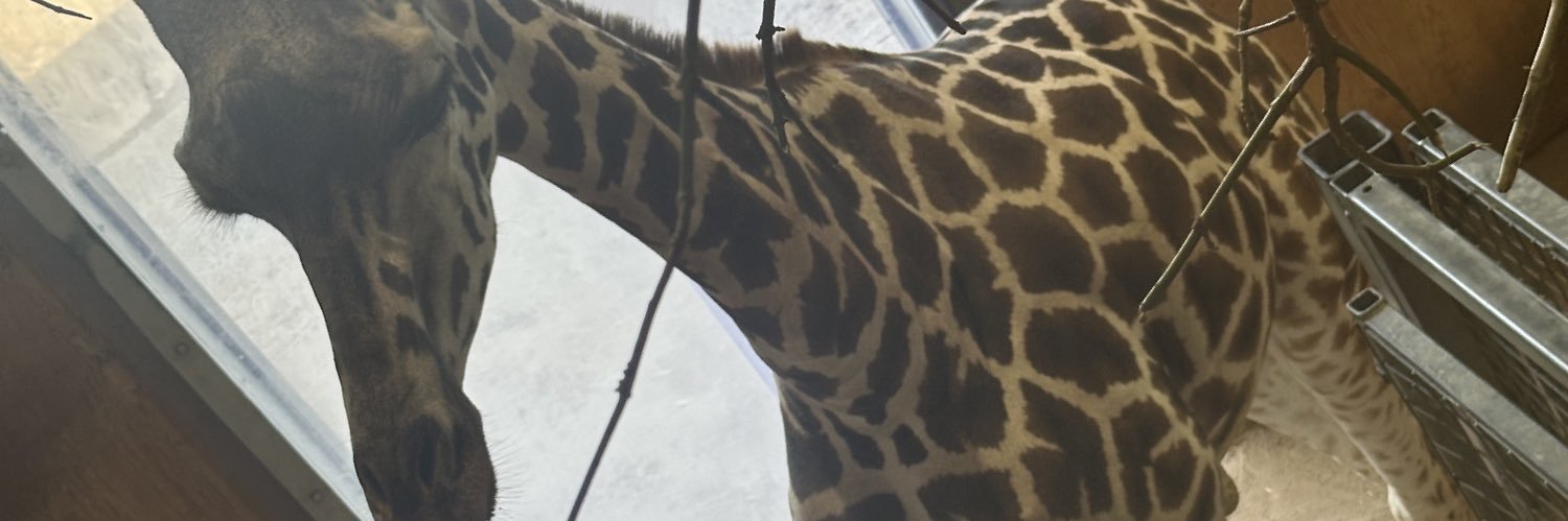 clobos99's profile banner image