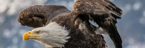 TechnologyTeech's profile banner image