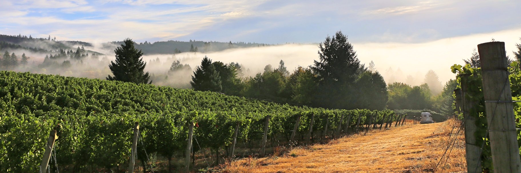 FullertonWines's profile banner image